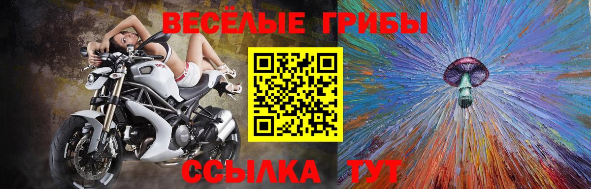 Галлюциногенные грибы MAGIC MUSHROOMS  Галлюциногенные грибы ЛСД  Михайловка  Вход с VPN 